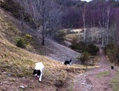 Marford Quarry