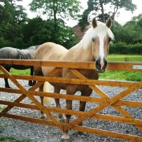 Gemma waiting for tea