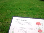 Legion Meadow Christleton