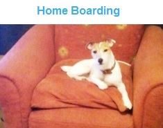 Home Boarding